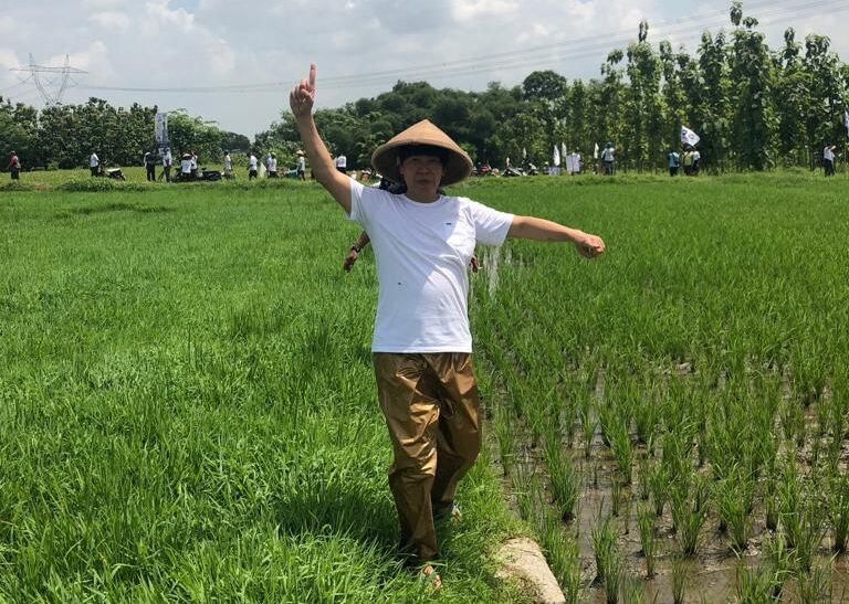 Henry Indraguna panen di Sawah
